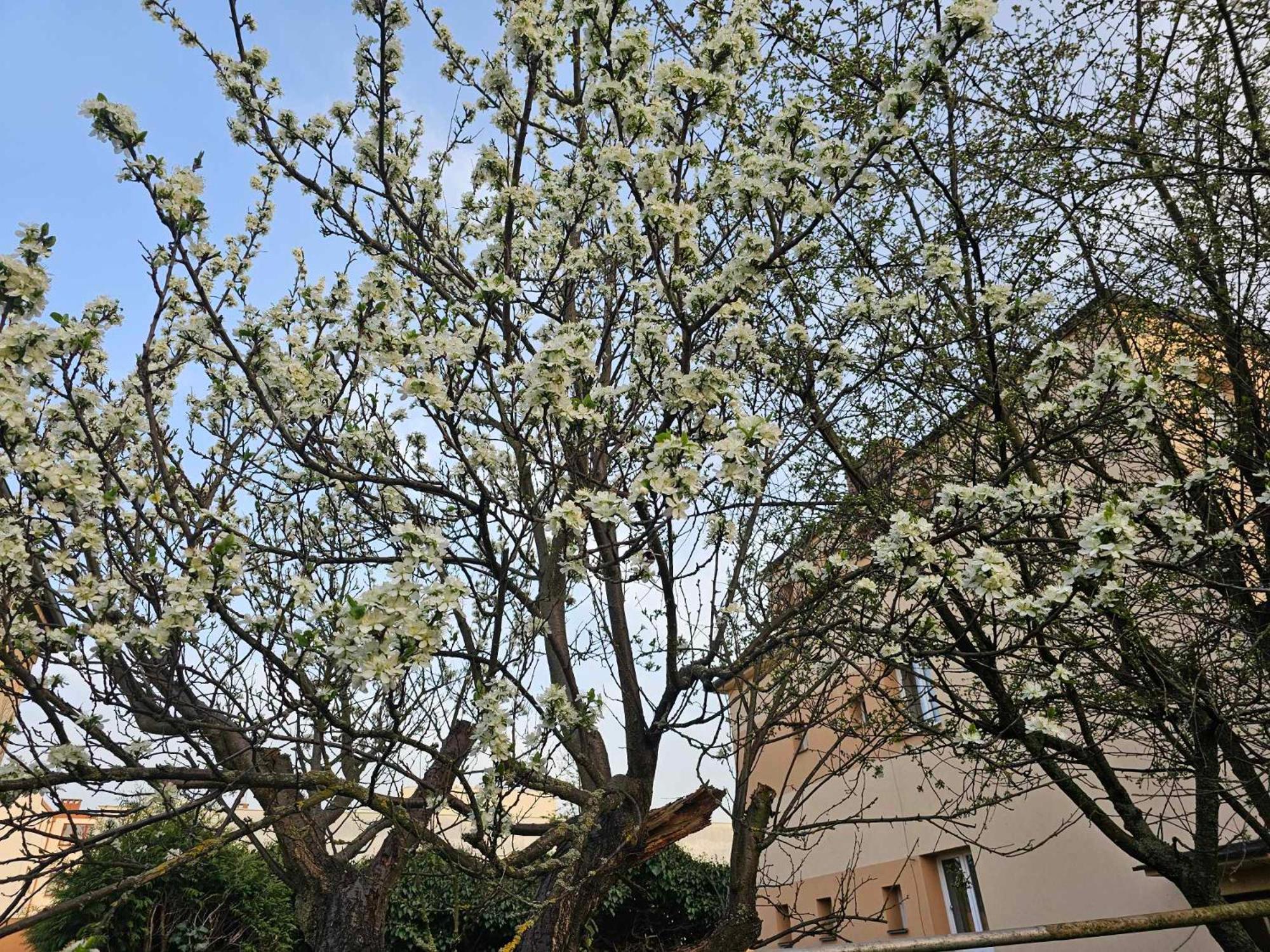 Apartment Slunny V Klidne Casti Hradce Kralove - Zahrada, Parkovani Zdarma *